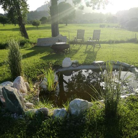 Haus Elisabeth Bed & Breakfast Aigen im Ennstal Exterior foto