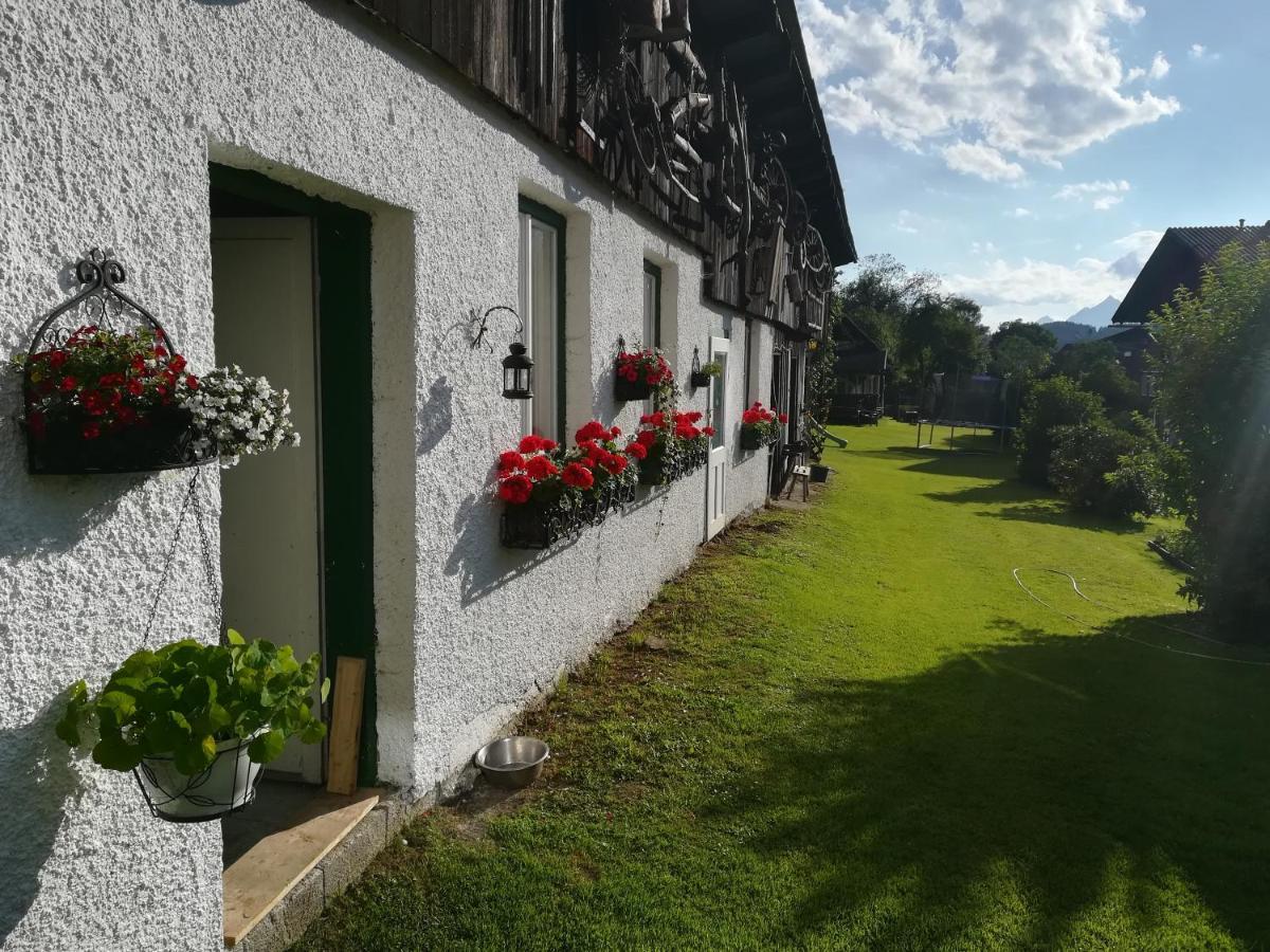 Haus Elisabeth Bed & Breakfast Aigen im Ennstal Exterior foto